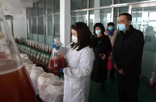 水产品的营养与健康价值 餐桌上的海洋恩赐