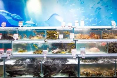 总统级“网红店”落户青山，1月22日正式开业，不见不散！
