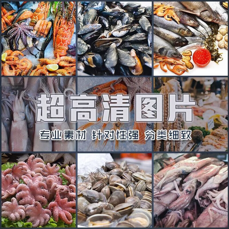 海产素材全景 从图像到价值的思考