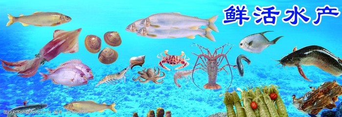 鲜美水产品，滋养每一刻